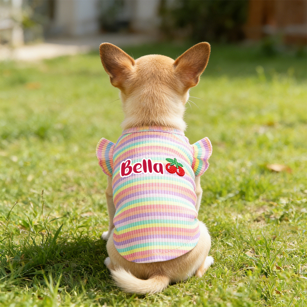 Personalized Name Pet Summer Rainbow Striped Dress | inCloth69