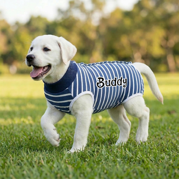 Personalized Name Anti Lick Pet Onesie | inCloth72