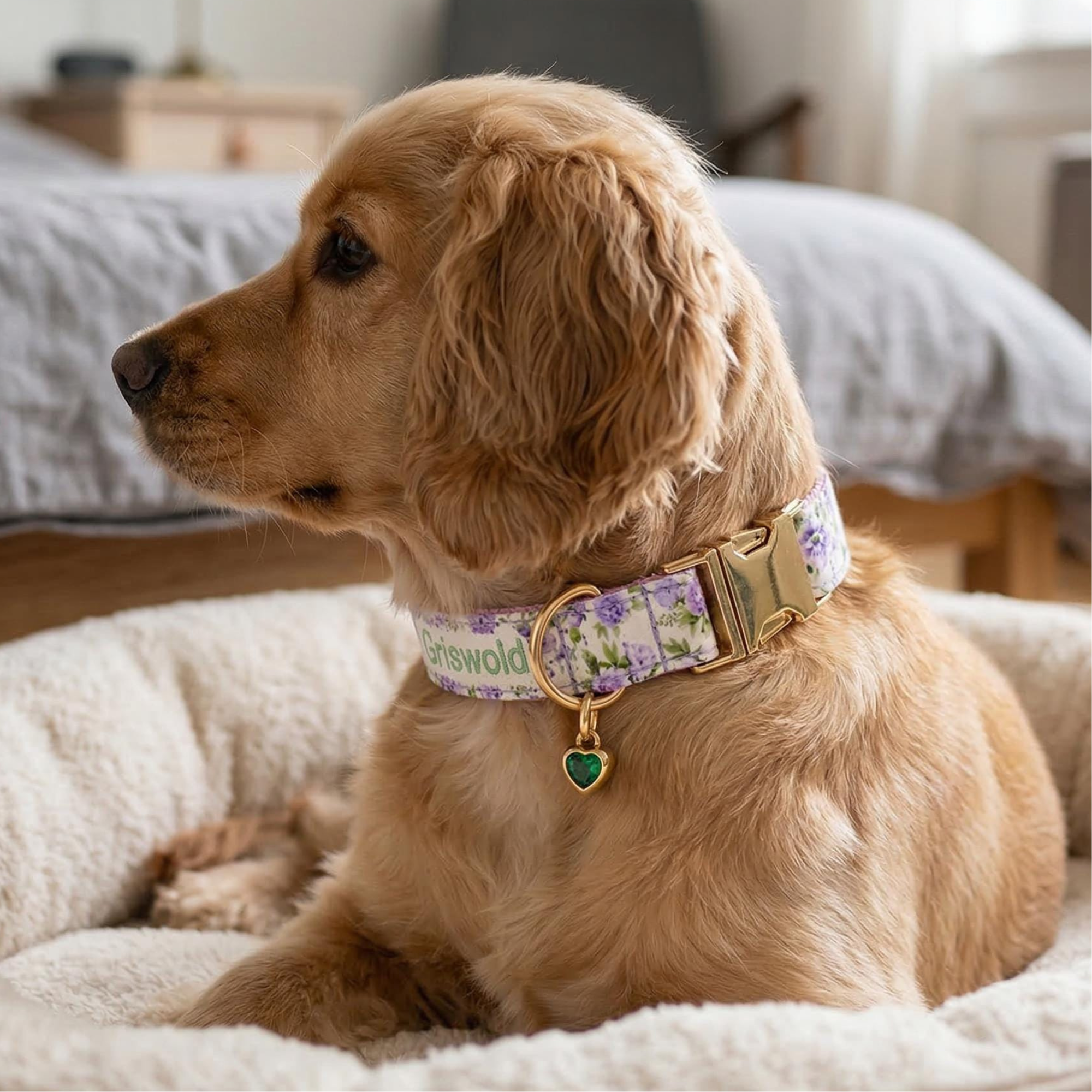 Personalized Embroidered Name Pet Collar with Birthstone Charm | inAccs37