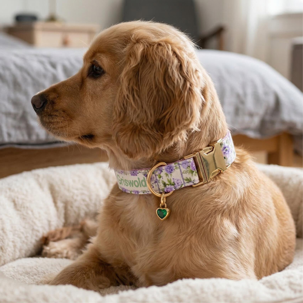 Personalized Embroidered Name Pet Collar with Birthstone Charm | inAccs37