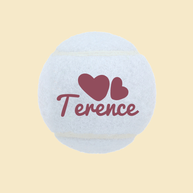 Personalized Name Pet Tennis Ball | inToy09