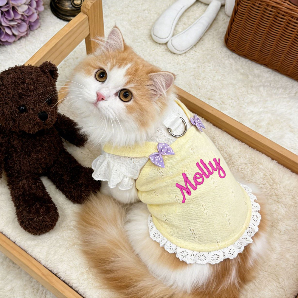 Personalized Embroidered Name Bowknot Dess | inCloth85