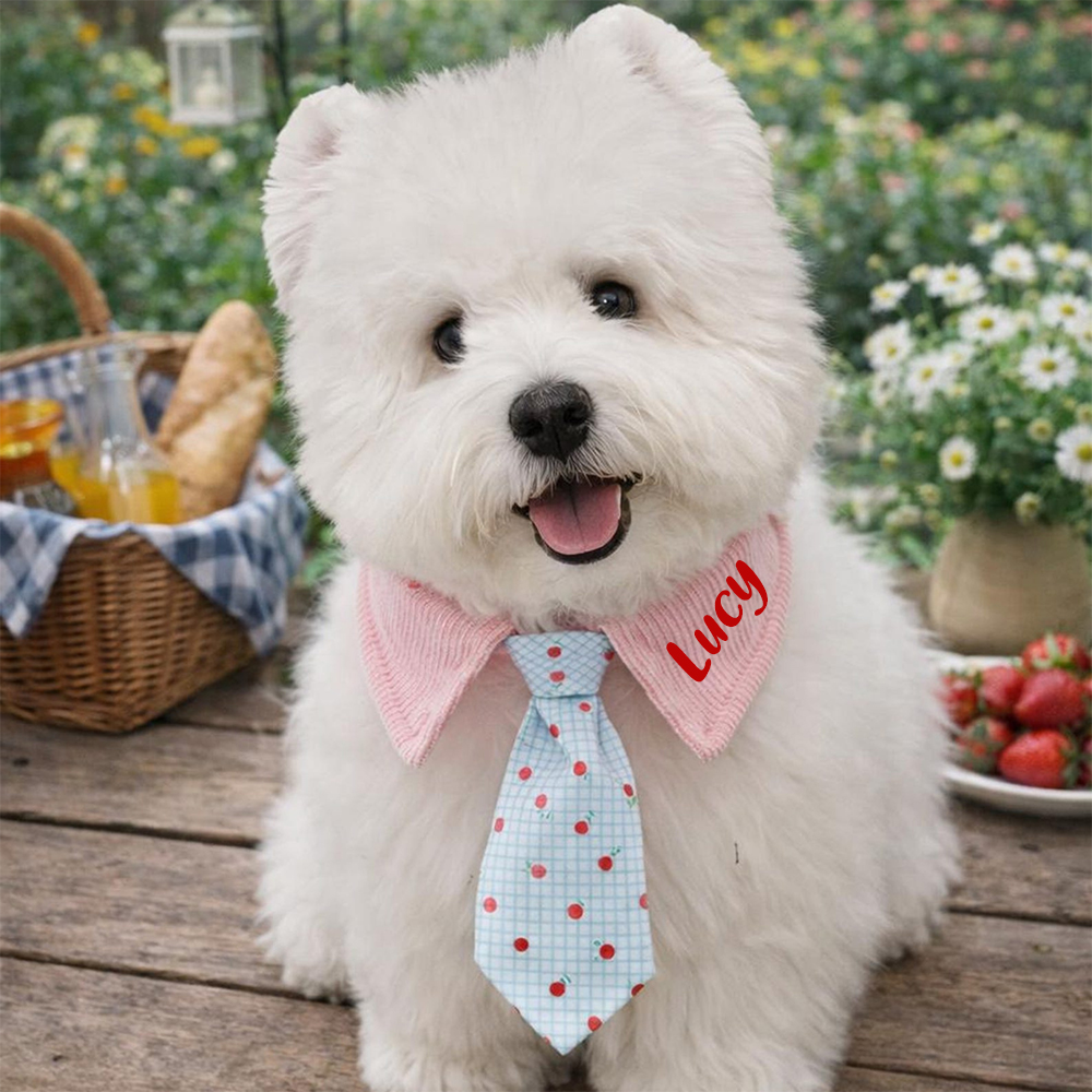 Personalized Name Adjustable Pet Tie Collar | inaccs46