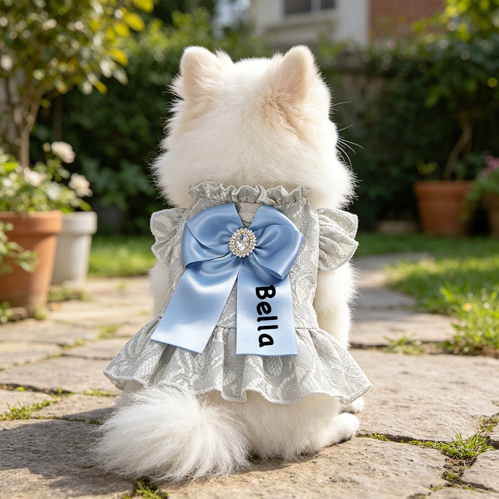 Personalized Name Pet Bowknot Lace Pet Dress | inCloth92