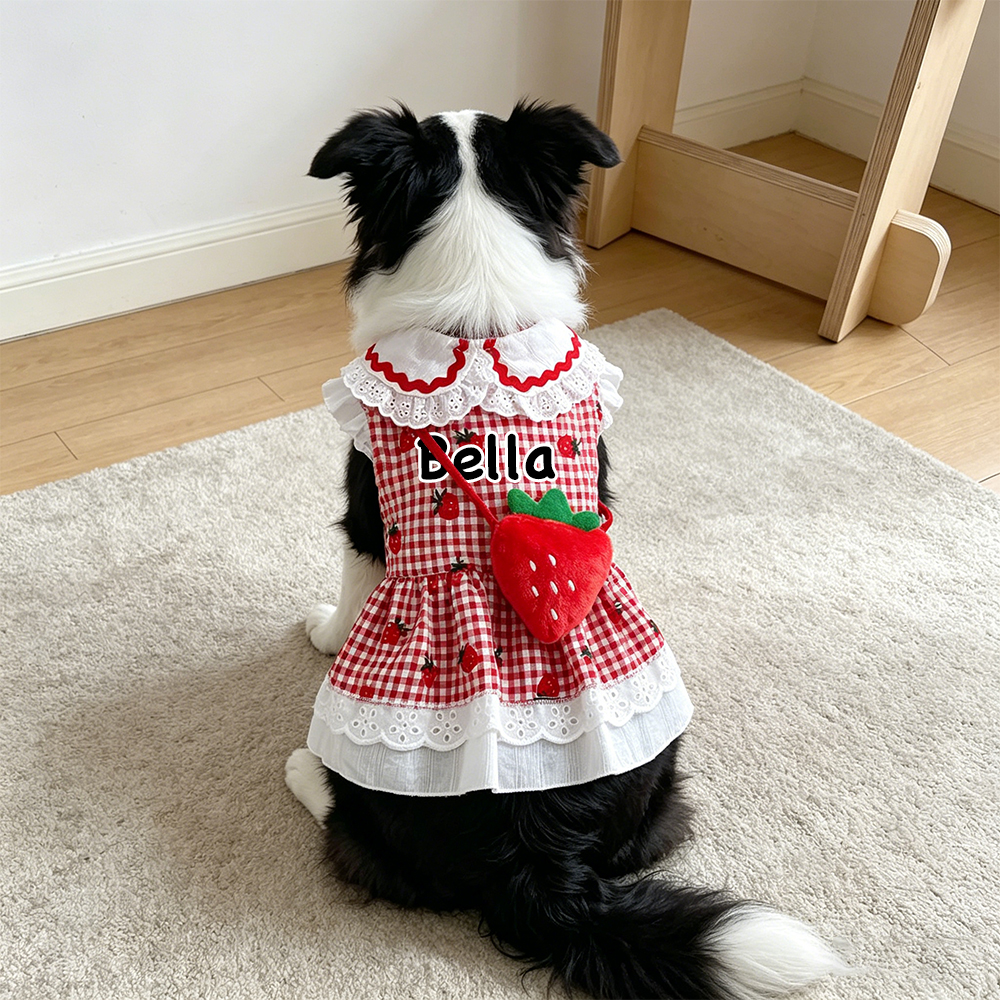 Personalized Name Strawberry Princess Pet Dress | inCloth93