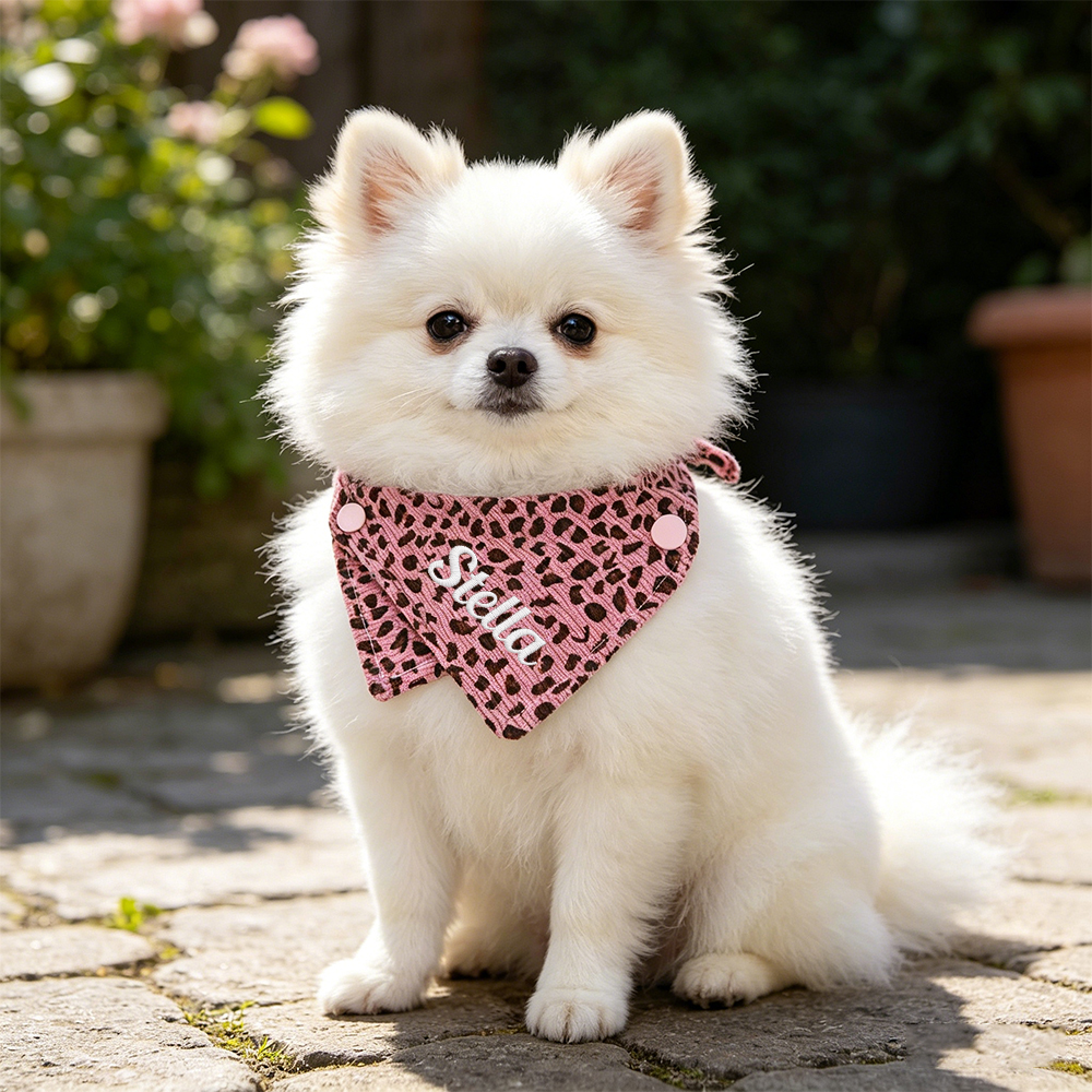 Personalized Embroidered Name Pet Bandana | inAccs51