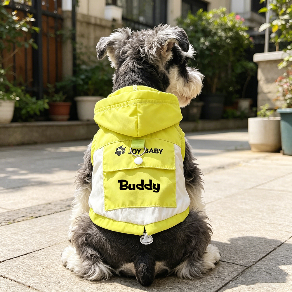 Personalized Name Pet Lightweight UV Protection Hoodie | inCloth99