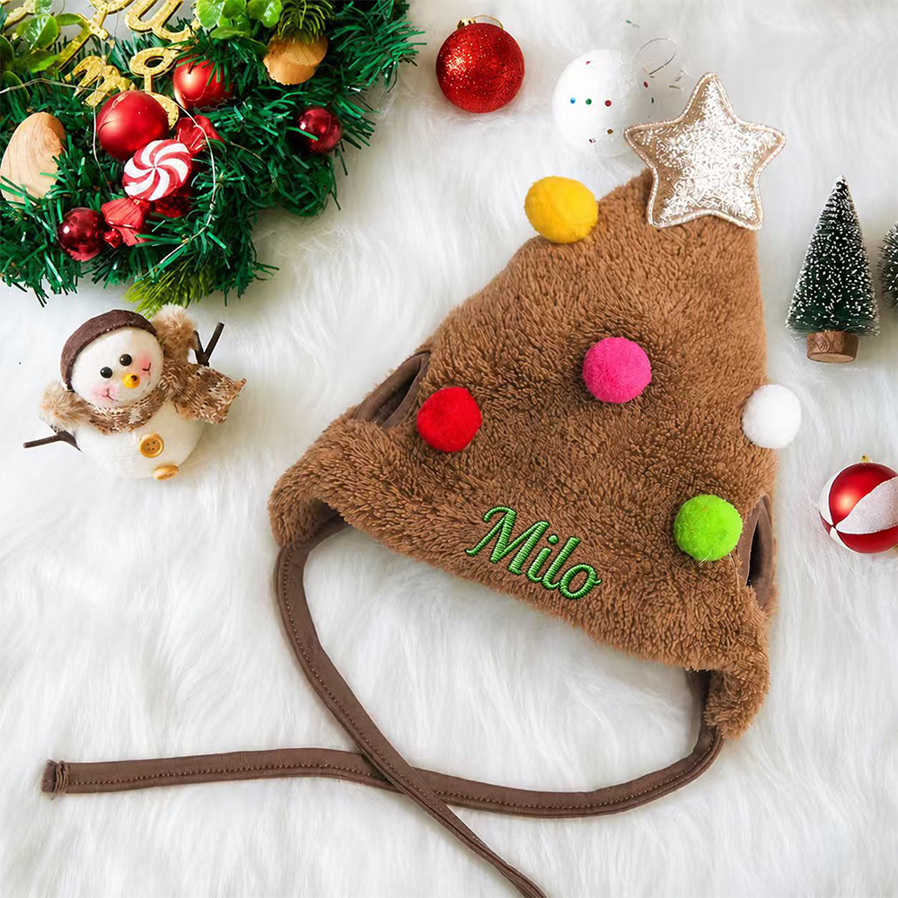 Personalized Embroidered Name Christmas Pet Hat | inHat08