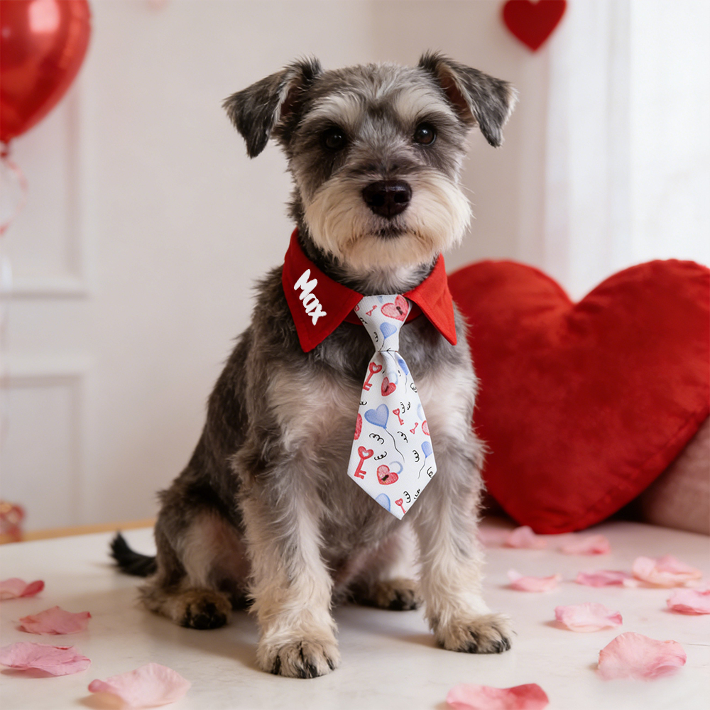 Personalized Pet Valentine's Day Tie Collar | inAccs01