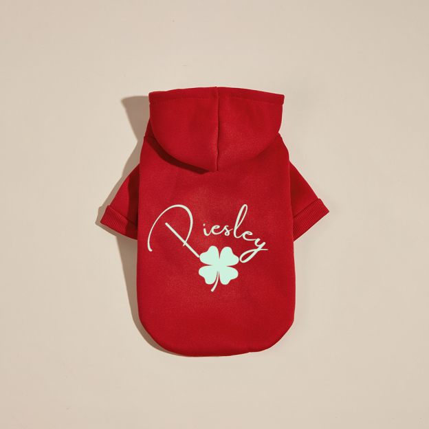 Personalized Name St. Patricks Day Pet Hoodie | inCloth04