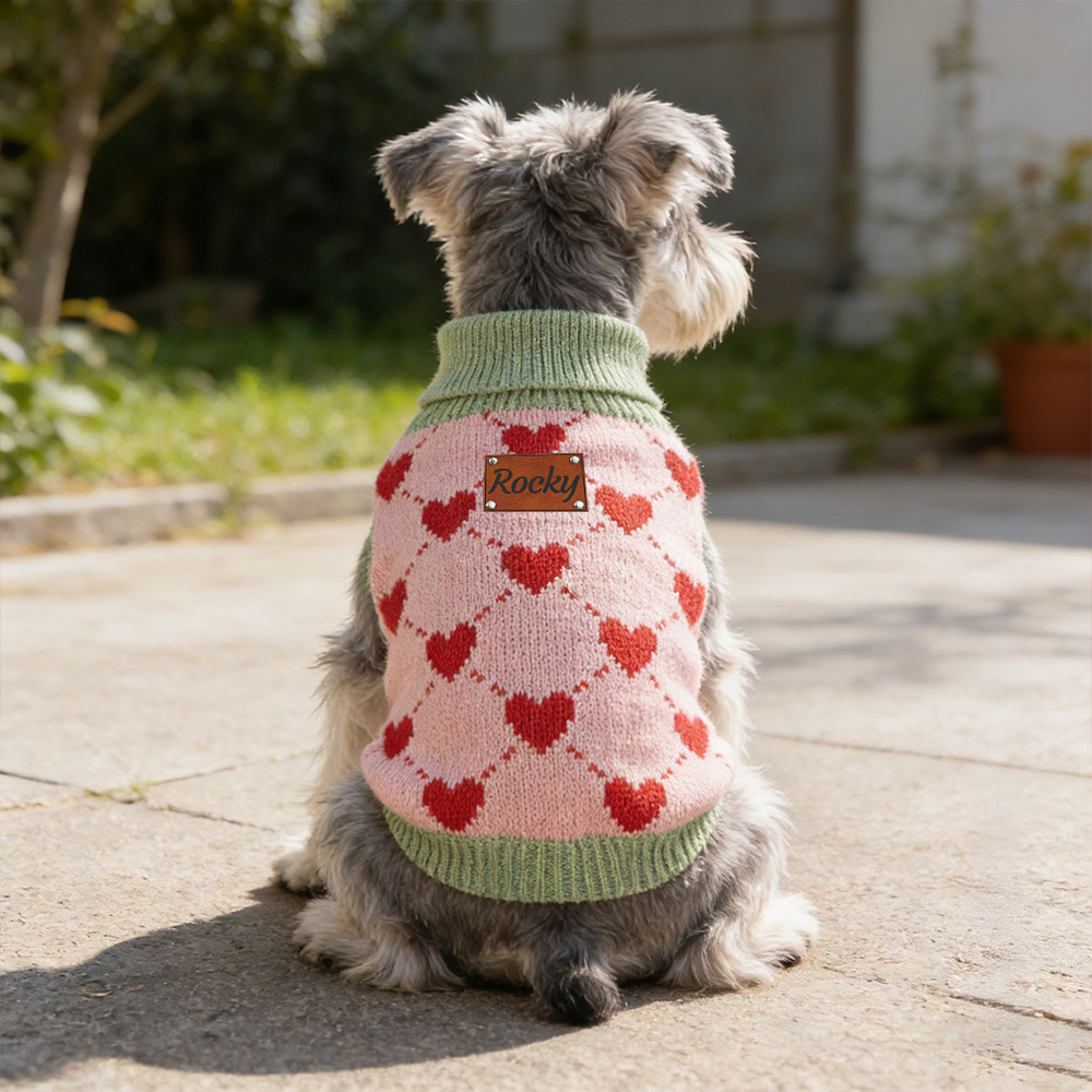 Personalized Heart Pattern Pet Sweater | inCloth05