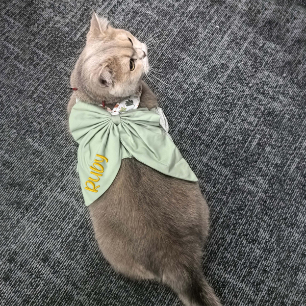 Personalized Embroidered Name Pet Floral Harness | inAccs08