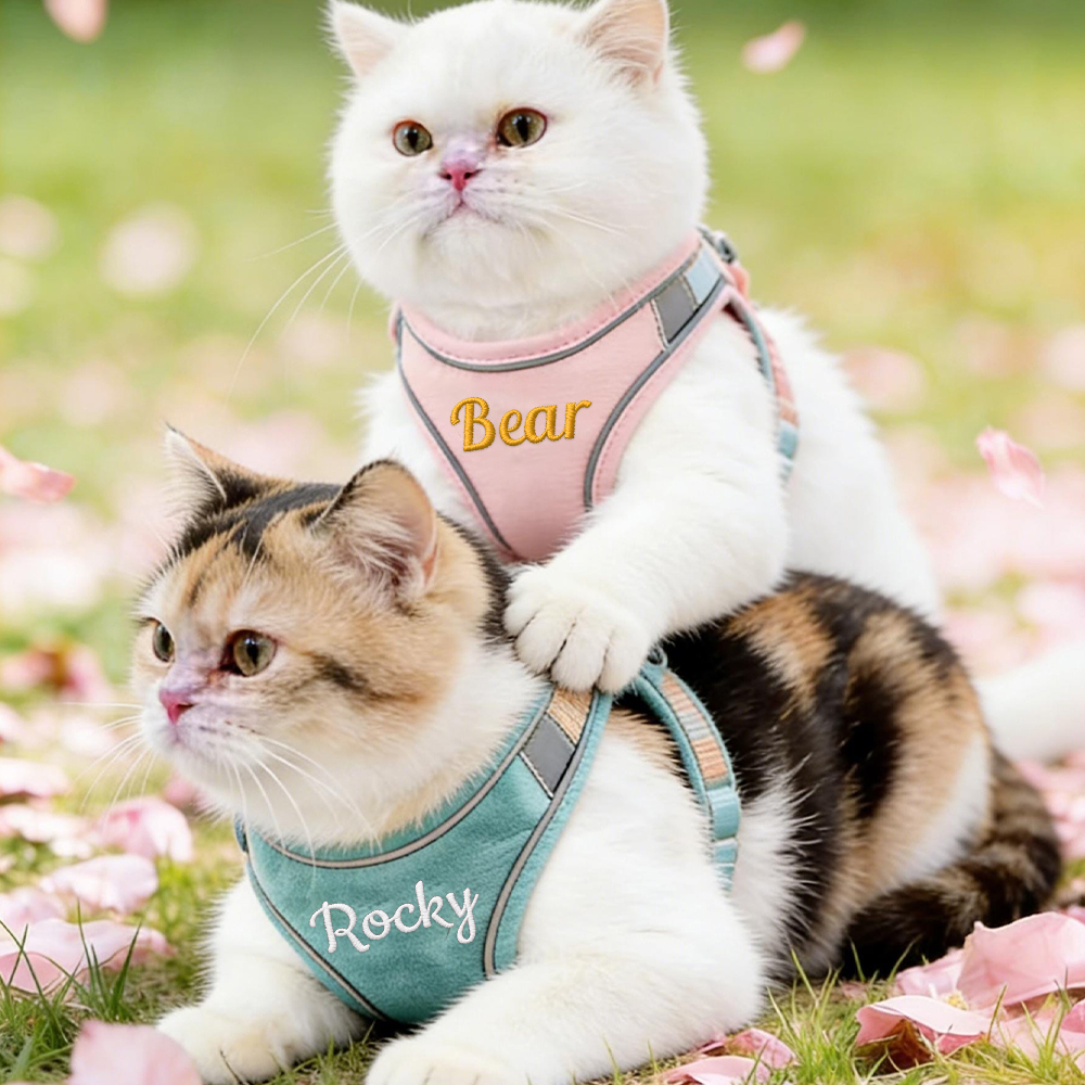 Personalized Embroidered Name Pet Harness with Leash | inAccs09