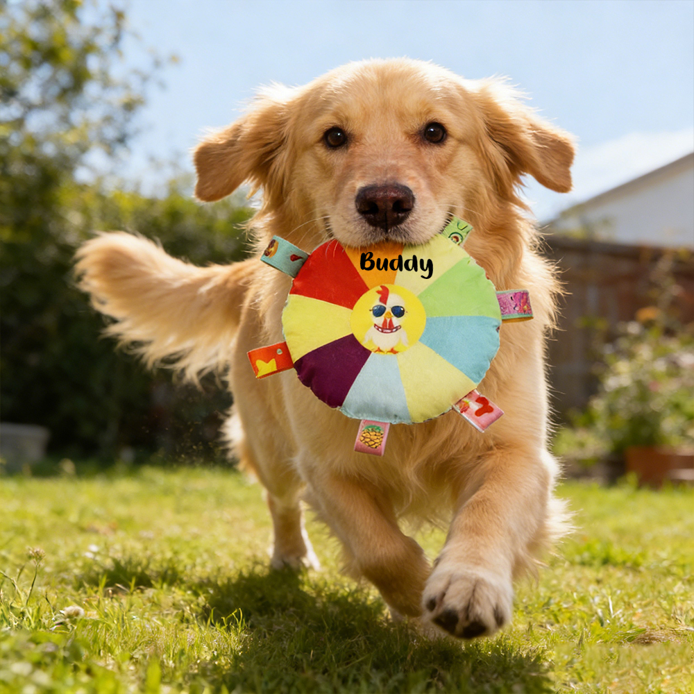 Personalized Pet Colorful Plush Chew Toy | inToy02