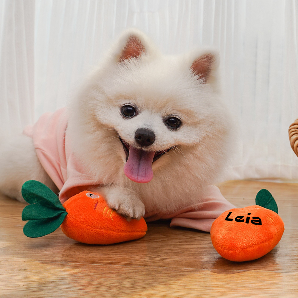 Personalized Pet Squeaky Carrot Plush Toy  | inToy06