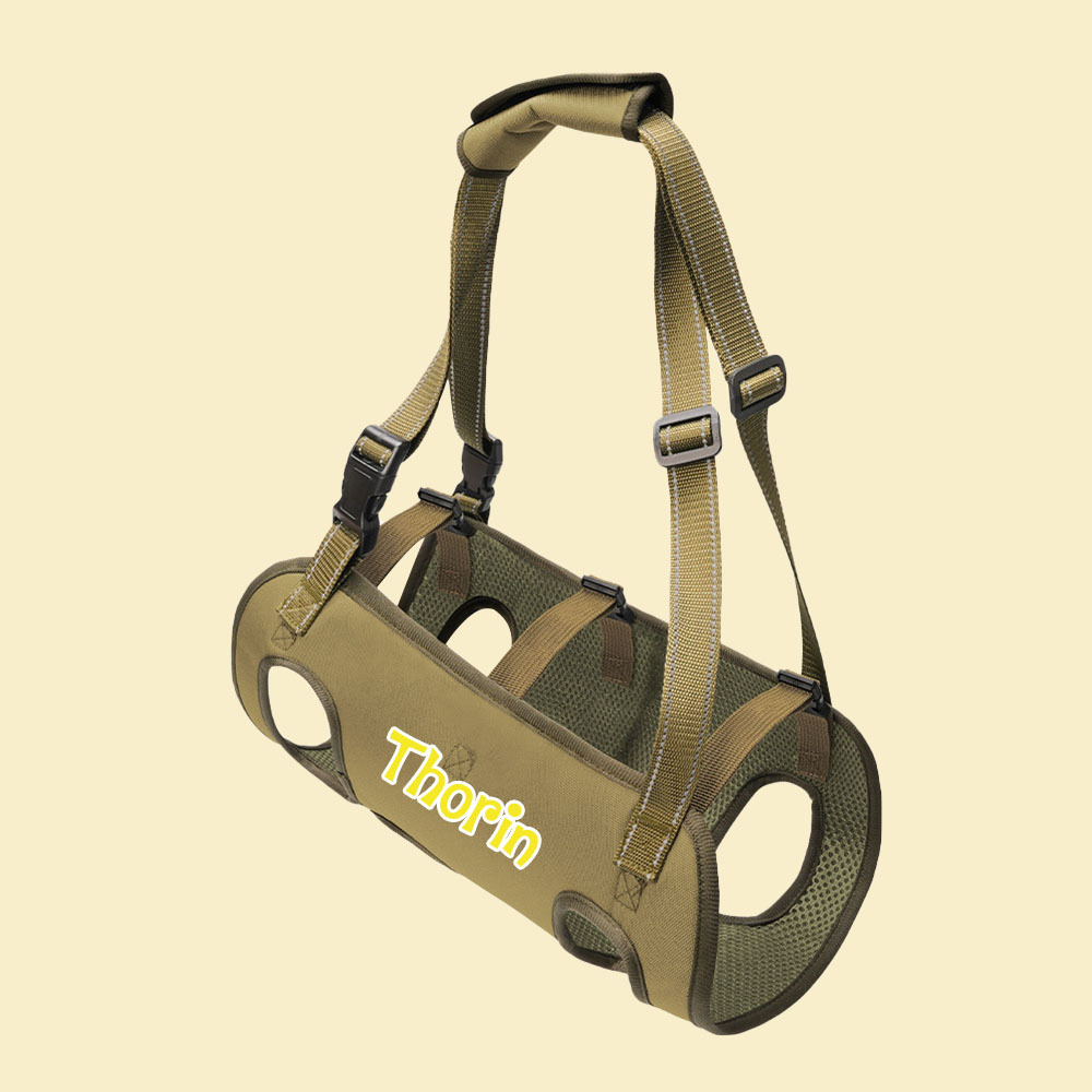 Personalized Name Dog Walking Aid Harness | inAccs24