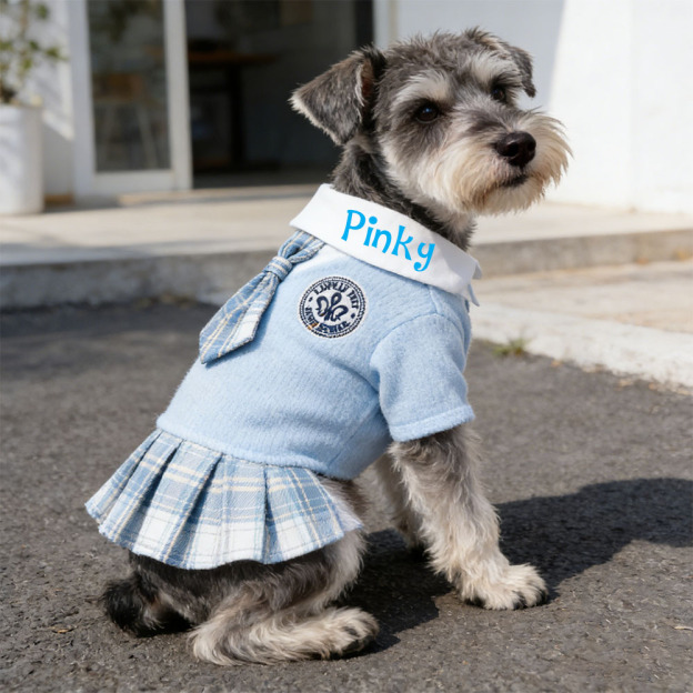 Personalized Pet School Style Dress | inCloth27