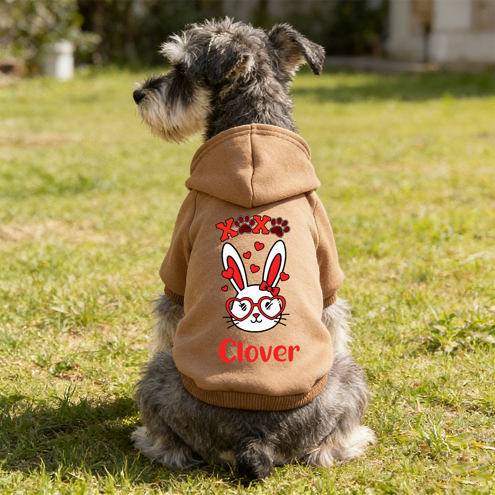 Personalized Name Easter Pet Bunny Hoodie | inCloth29