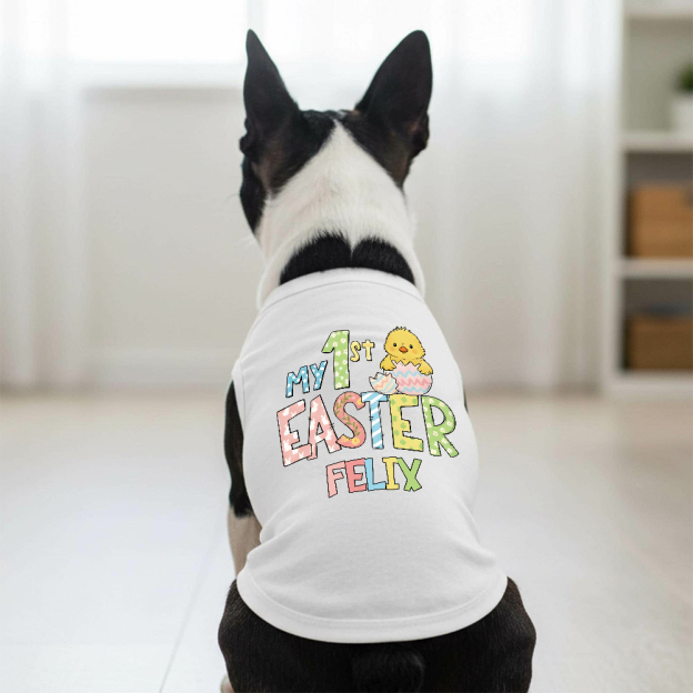 Personalized Pet's First Easter Shirt | inCloth35