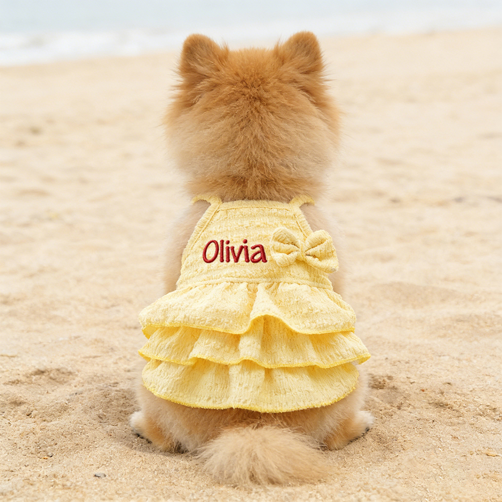 Personalized Embroidered Name Pet Color Princess Dress | inCloth41