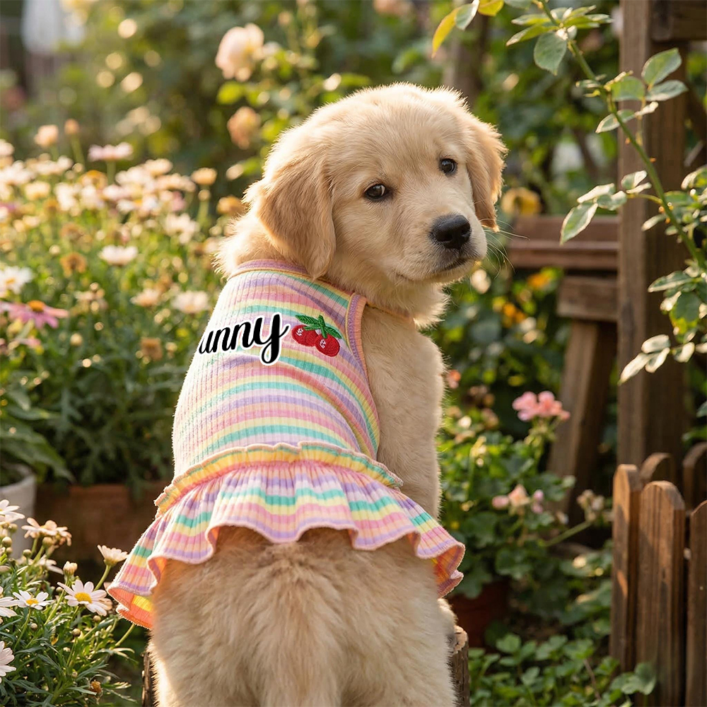 Personalized Name Pet Summer Rainbow Striped Dress | inCloth69