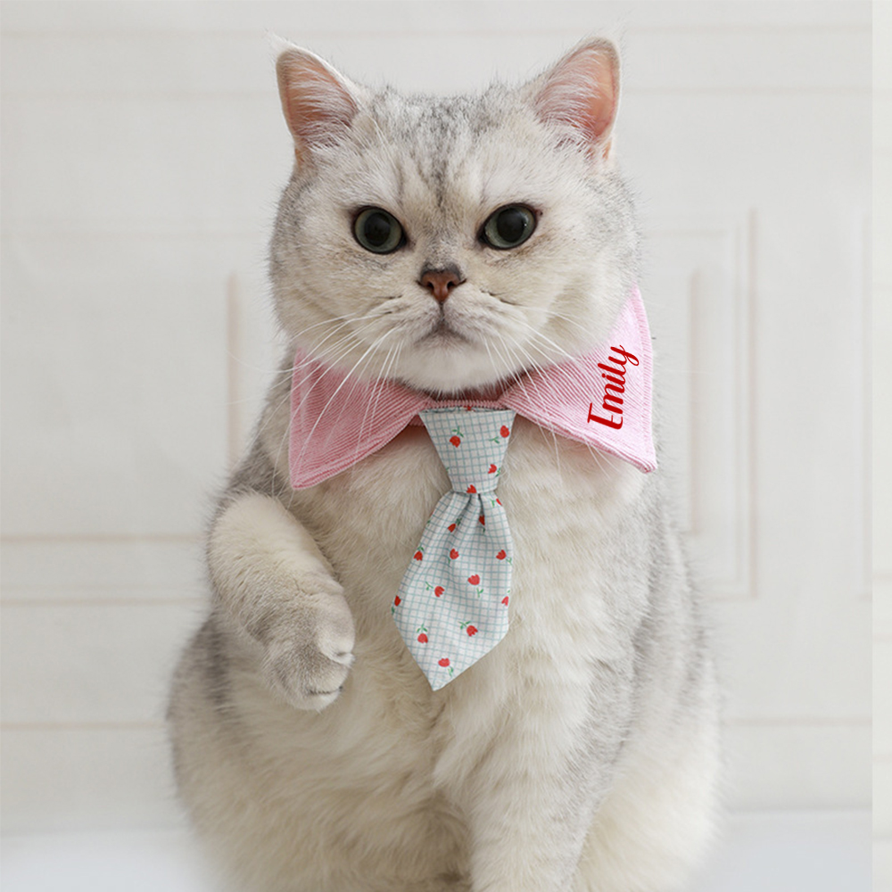 Personalized Name Adjustable Pet Tie Collar | inaccs46