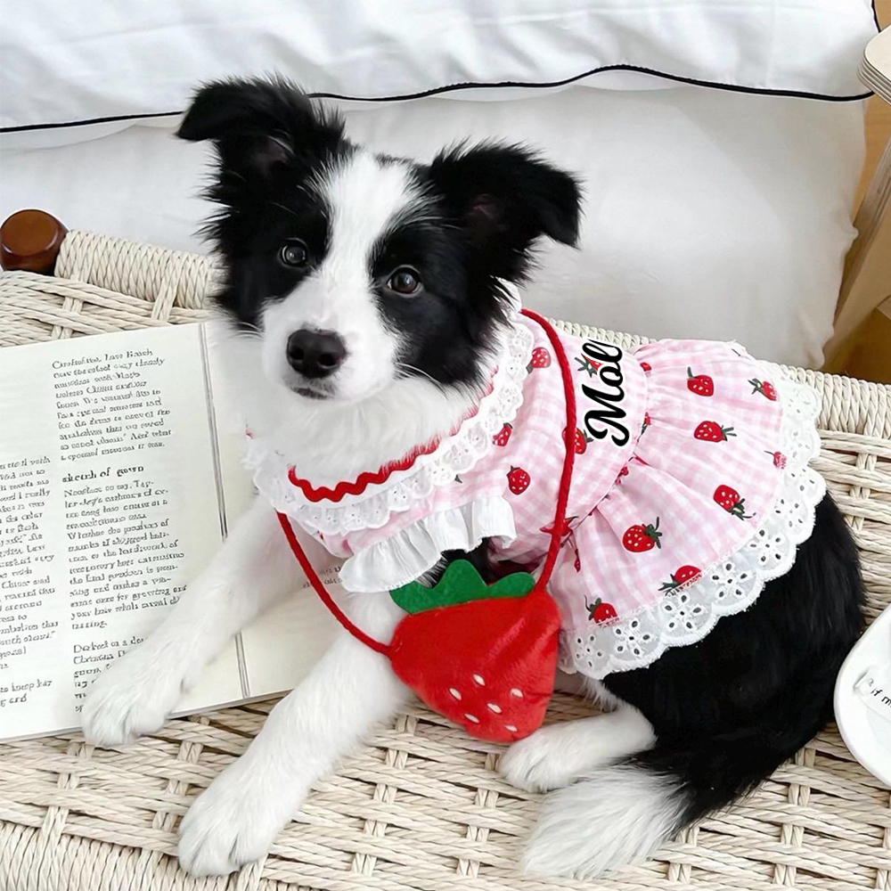 Personalized Name Strawberry Princess Pet Dress | inCloth93