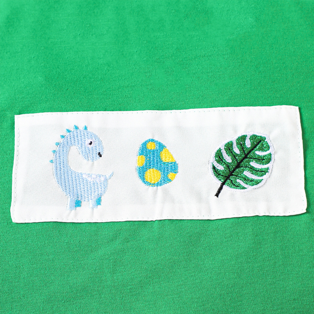 Personalized Baby Boys Dinosaur Embroidered Horns T-Shirt Shorts Outfit Set | CWBaby191