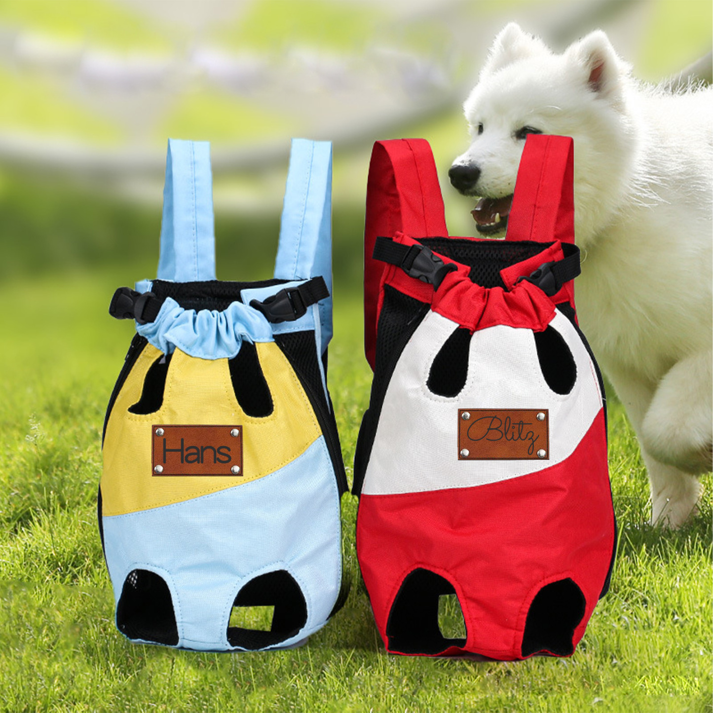 Personalized Leather Patch Name Pet Carrier Backpack | KKPet177