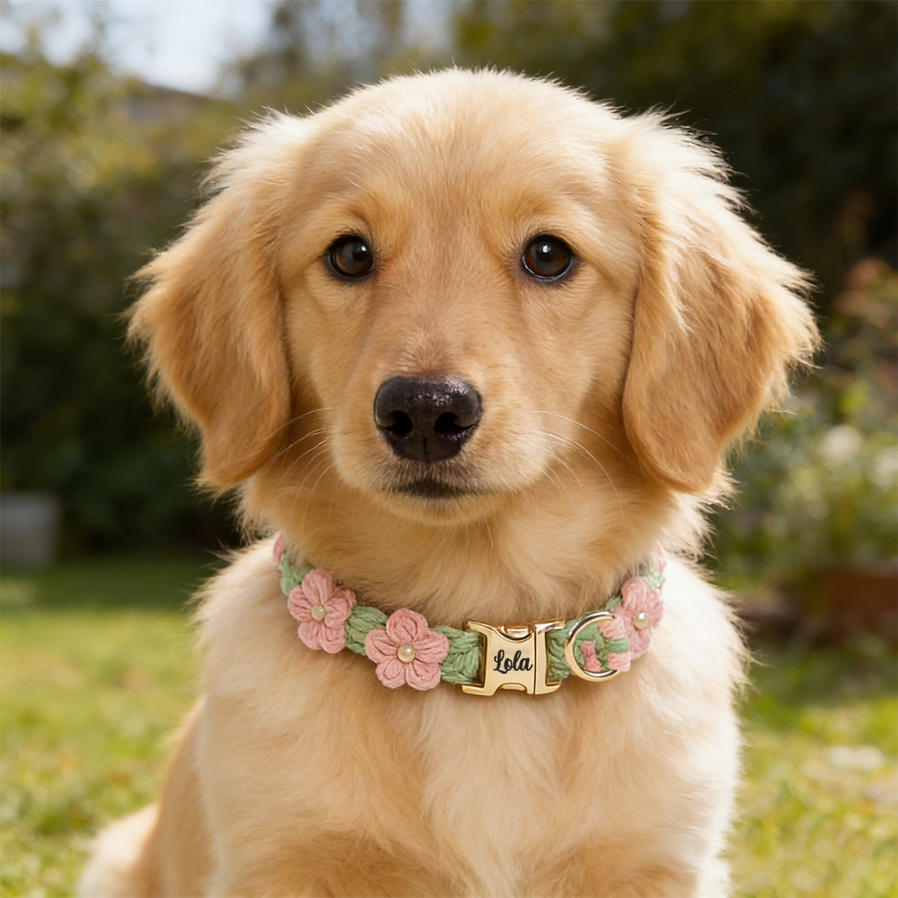 Personalized Engraved Name Woven Flower Pet Collar | KKPet450