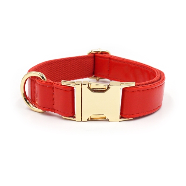 Personalized Embroidered Name Leather Pet Collar | inAccs34