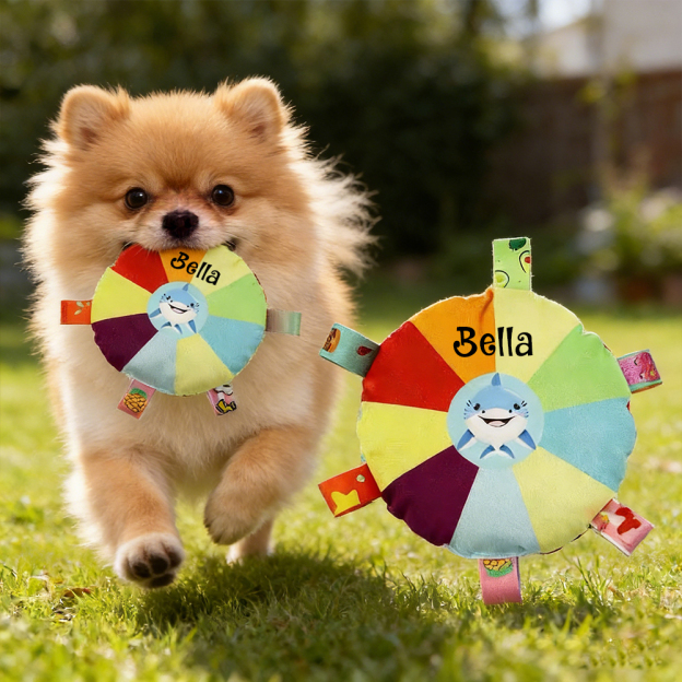 Personalized Pet Colorful Plush Chew Toy | inToy02
