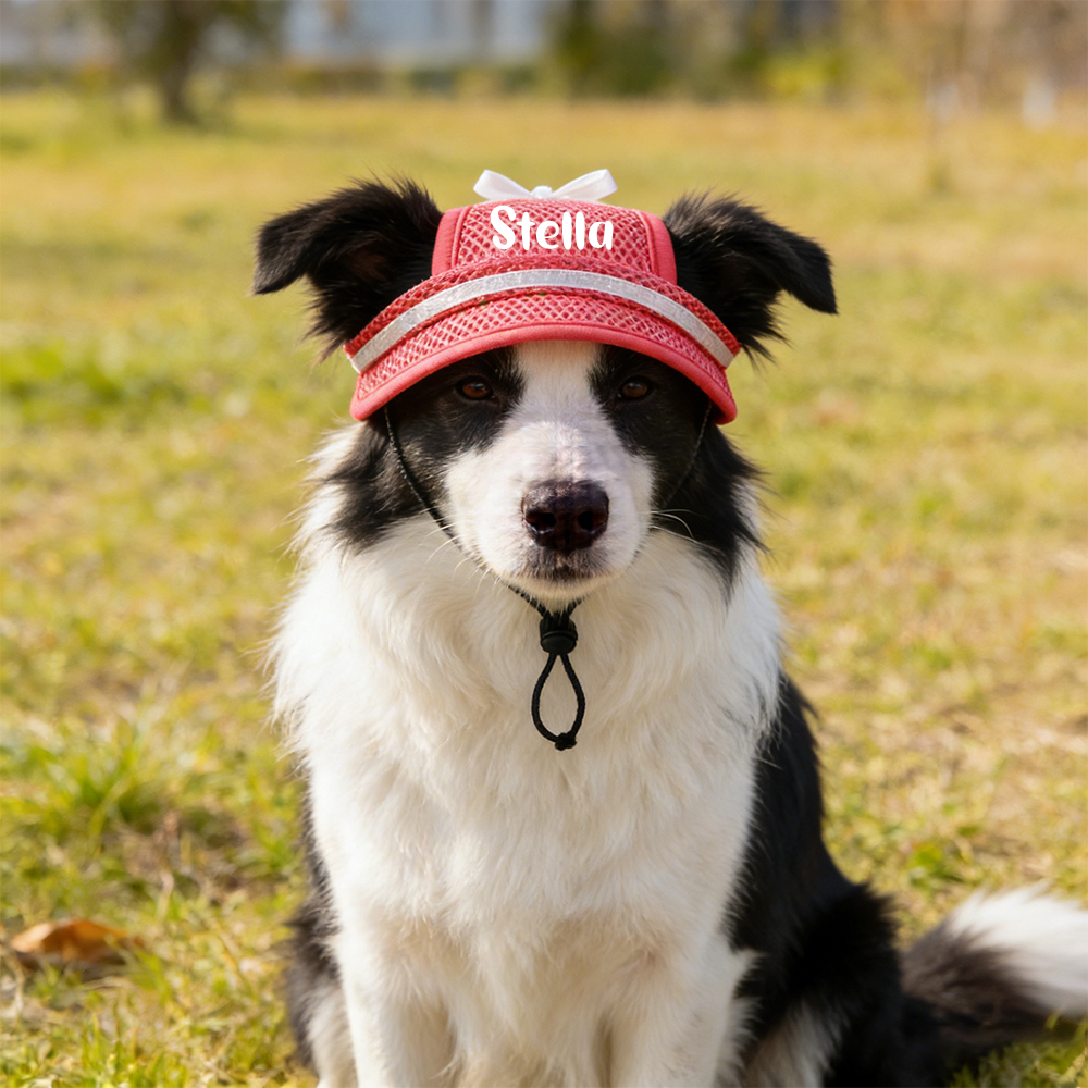 Personalized Name Pet Breathable Mesh Hat | inHat02