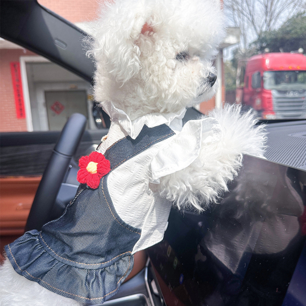 Personalized Pet Denim Pet Overalls | inCloth18