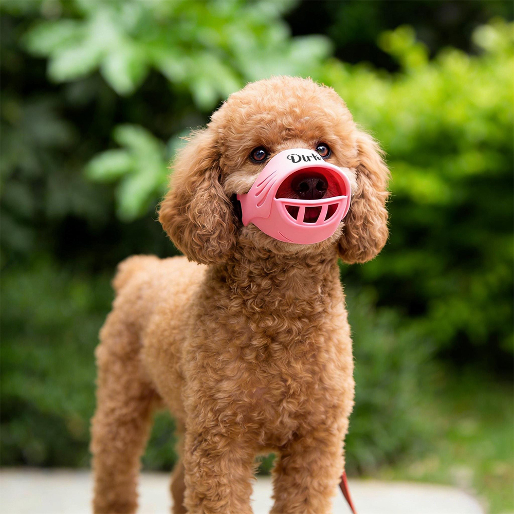 Personalized Silicone Dog Safe Anti-Biting Chewing Barking Muzzle | inAccs22