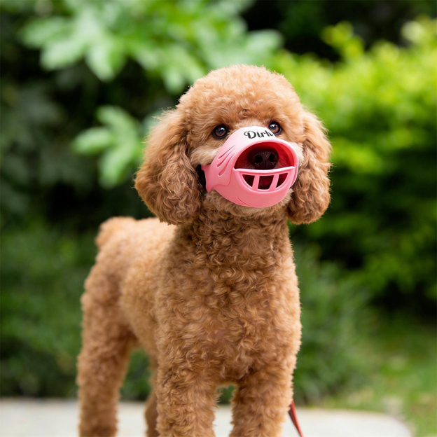 Personalized Silicone Dog Safe Anti-Biting Chewing Barking Muzzle | inAccs22