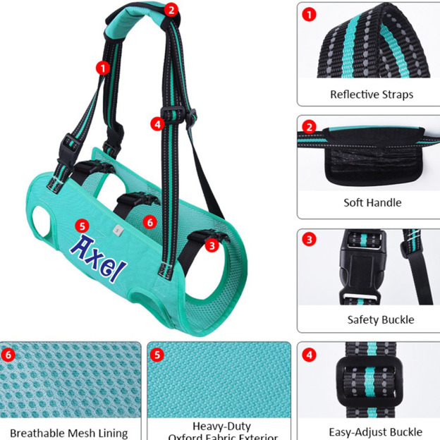 Personalized Name Dog Walking Aid Harness | inAccs24