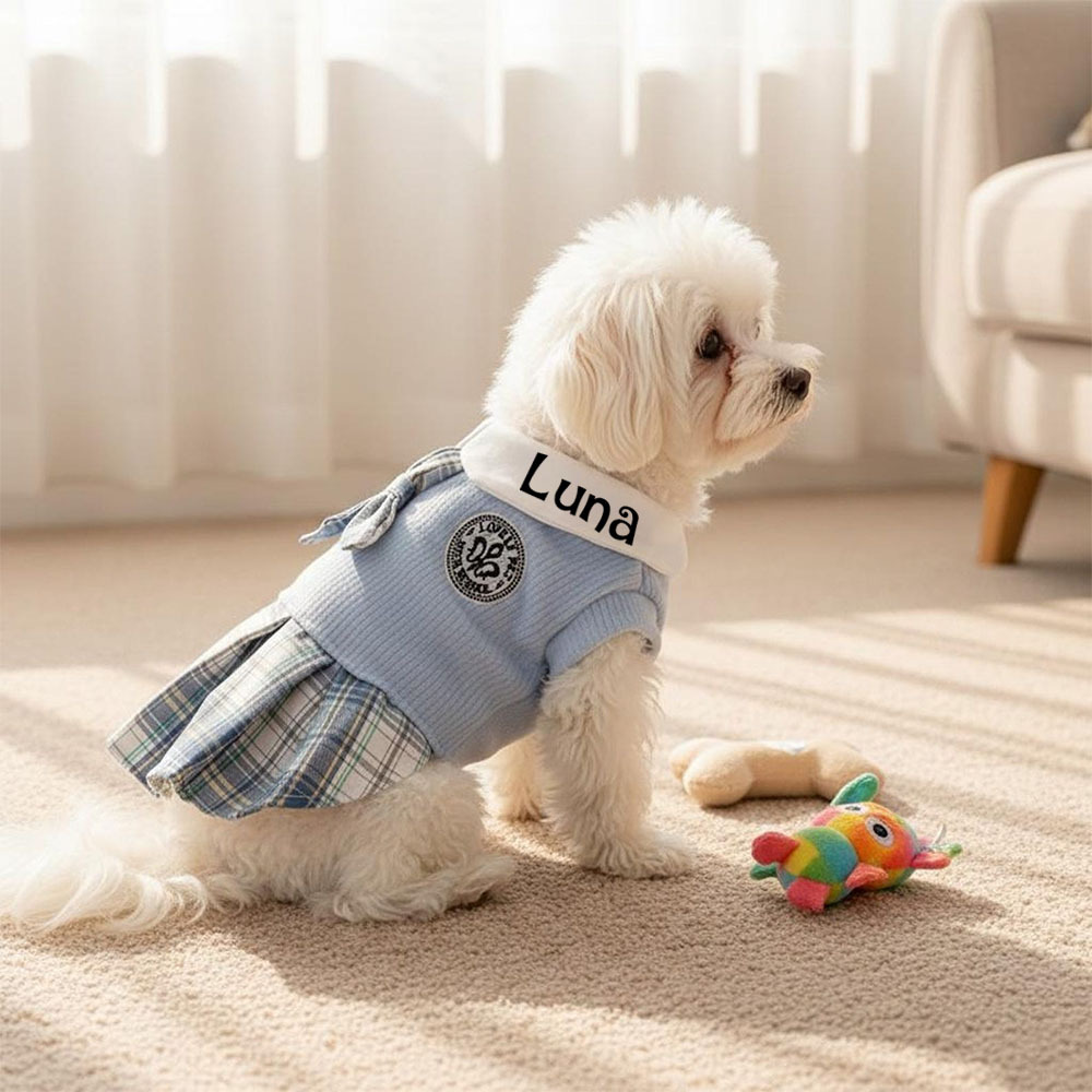 Personalized Pet School Style Dress | inCloth27