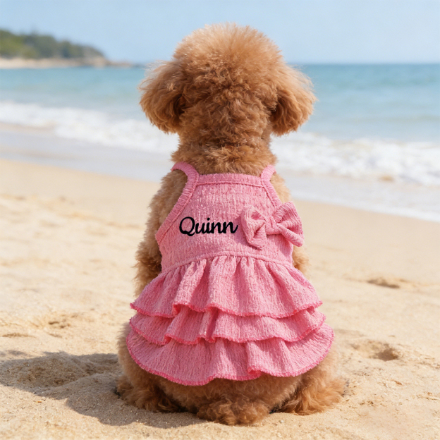 Personalized Embroidered Name Pet Color Princess Dress | inCloth41