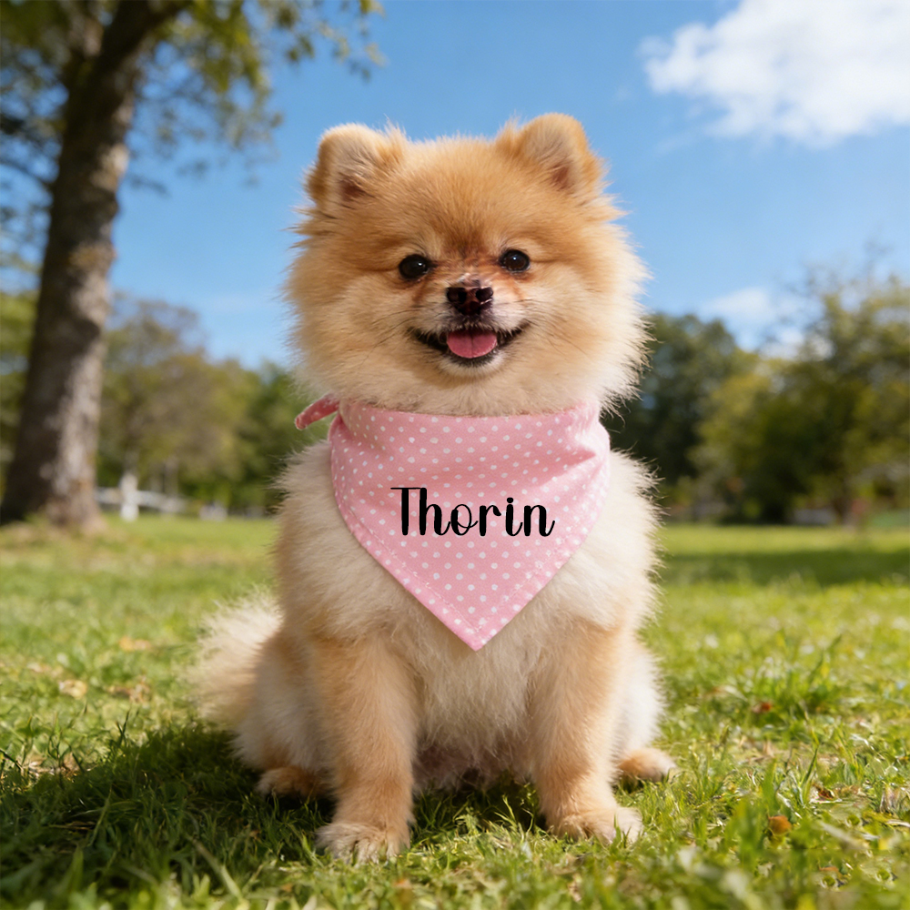 Personalized Mother's Day Dog Mom Shirt and Pet Bandana | inCloth45