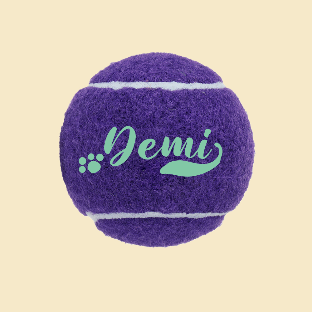 Personalized Name Pet Tennis Ball | inToy09