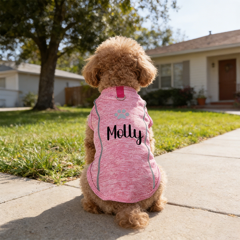 Personalised Summer Breathable Reflective Pet Shirt | inCloth88