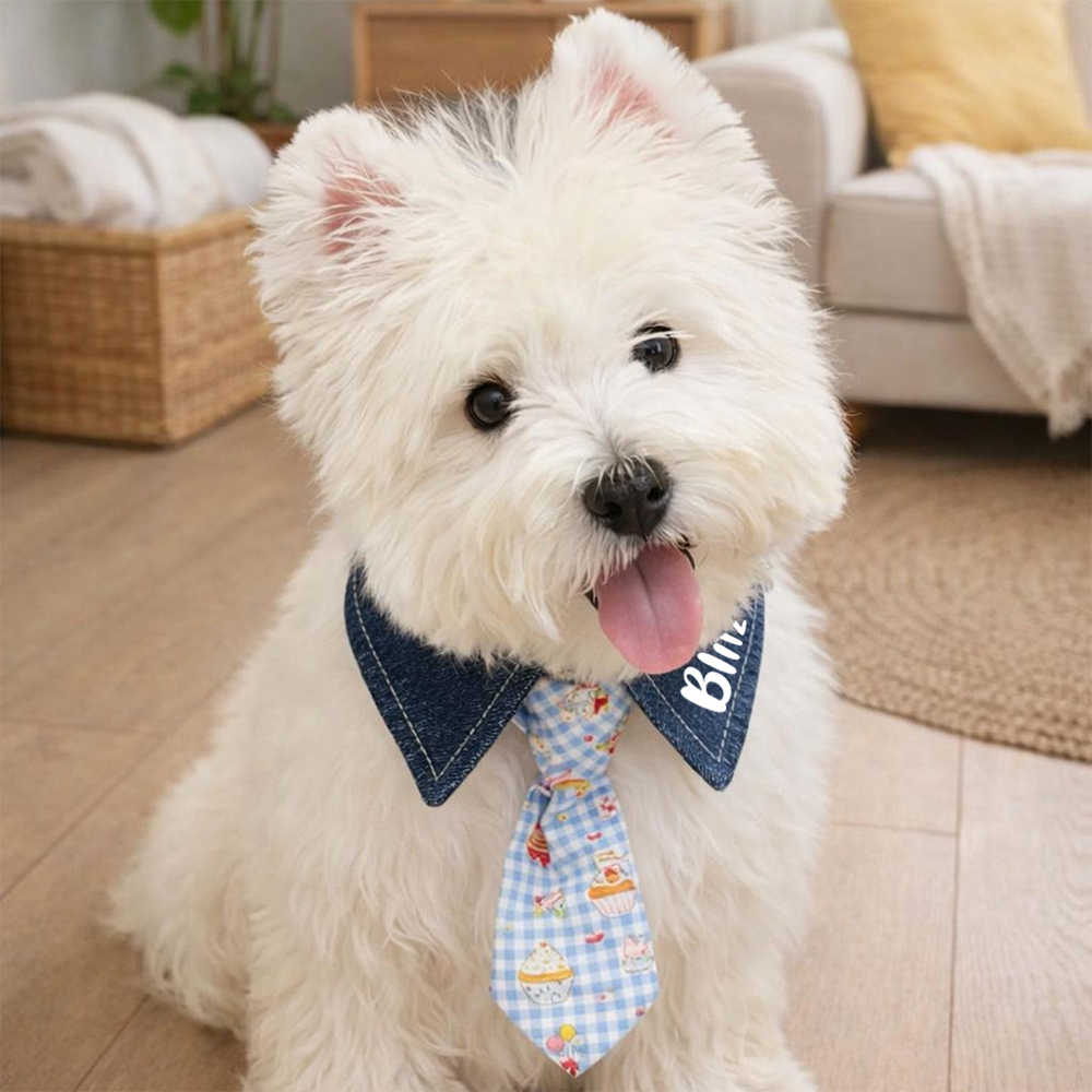 Personalized Name Adjustable Pet Tie Collar | inaccs46