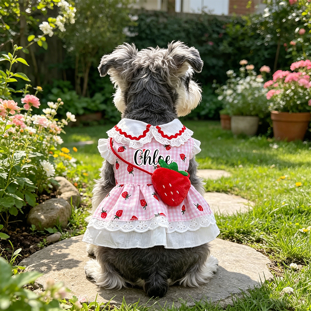 Personalized Name Strawberry Princess Pet Dress | inCloth93