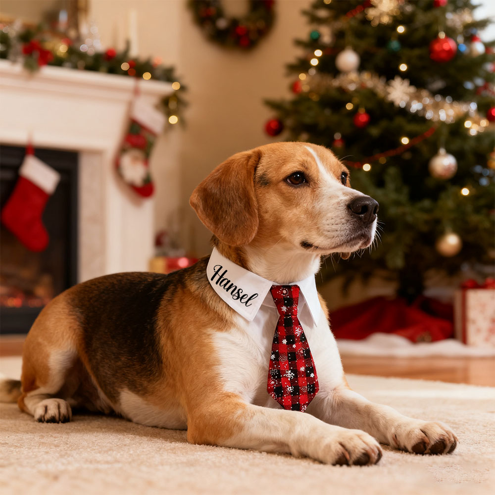 Personalized Name Christmas Pet Tie | KKPet327
