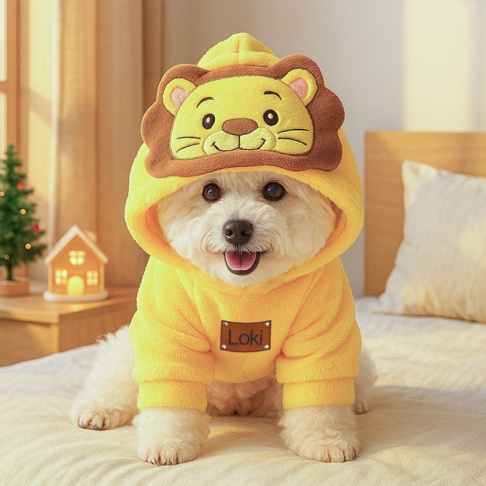 Personalized Leather Patch Name Pet Winter Hoodie | KKPet329