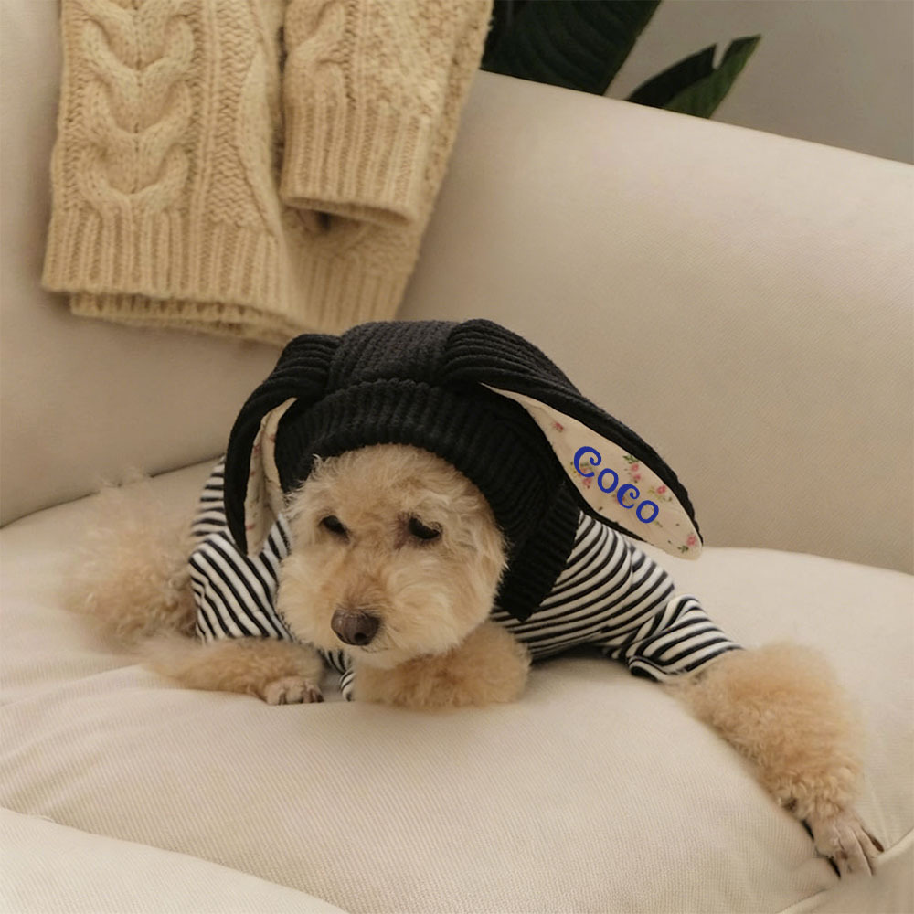 Personalized Easter Pet Knitted Bunny Ear Hat | inAccs14