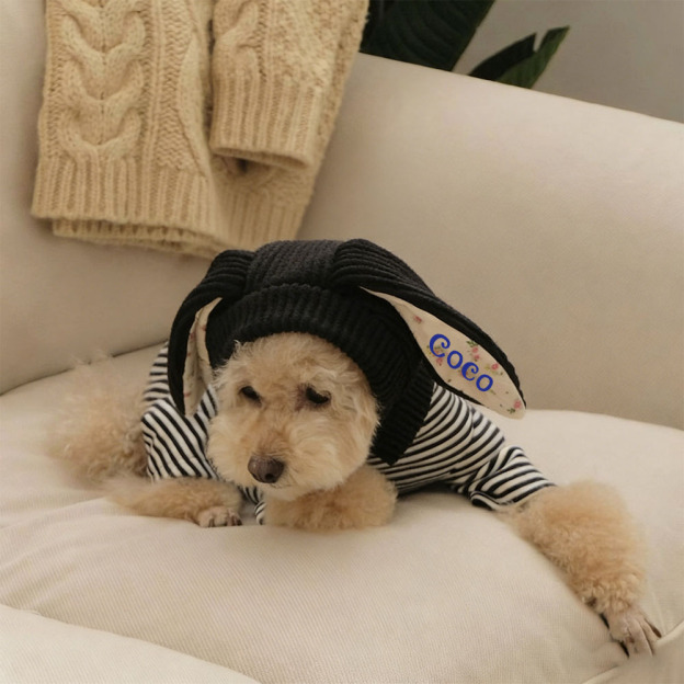 Personalized Easter Pet Knitted Bunny Ear Hat | inAccs14