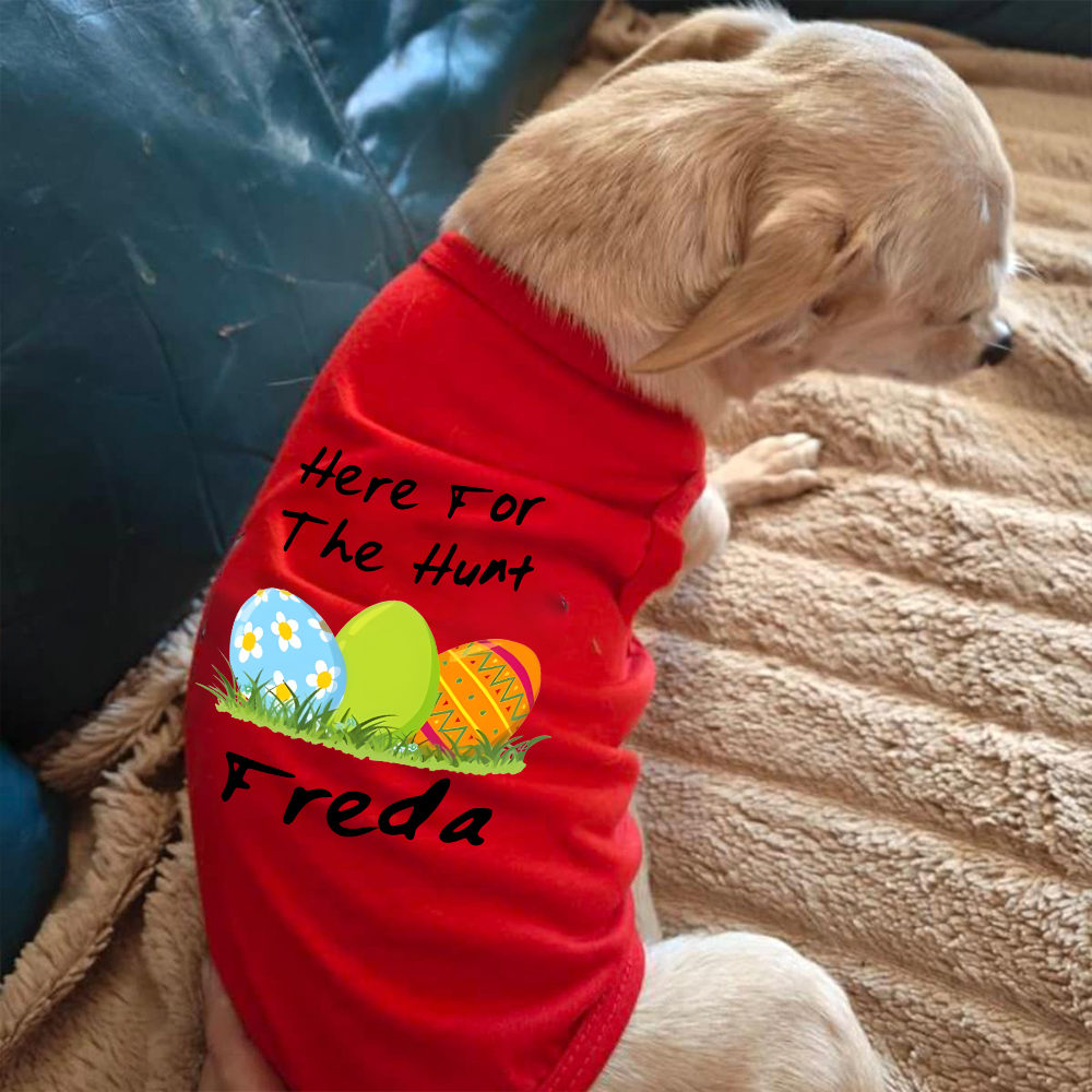 Personalized Easter egg hunt Pet Shirt | inCloth13