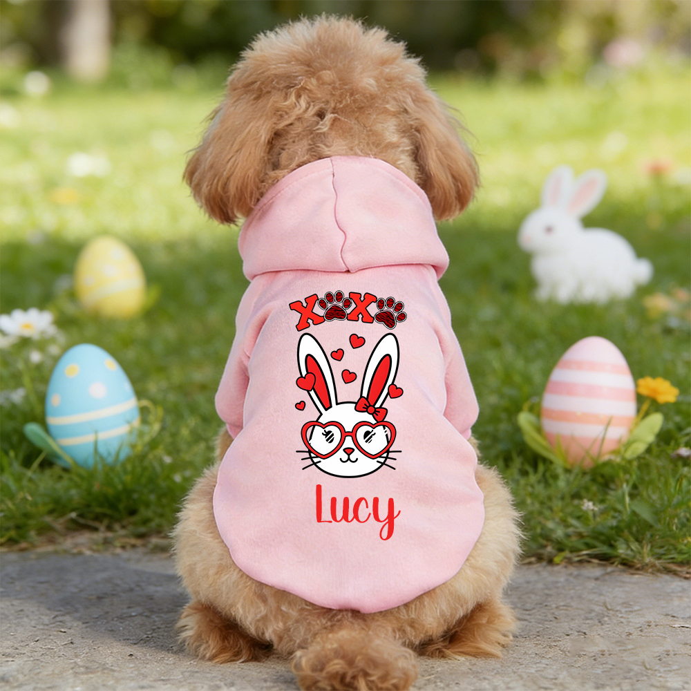 Personalized Name Easter Pet Bunny Hoodie | inCloth29
